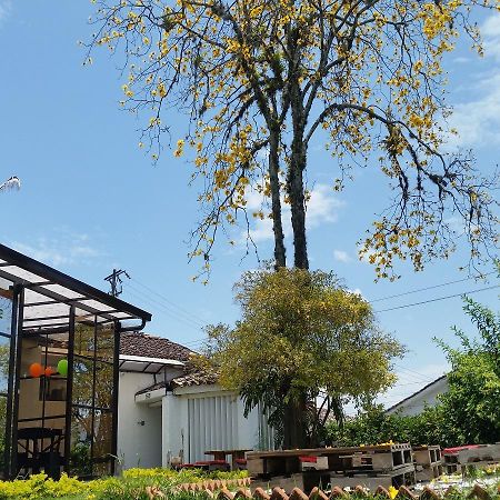 Hostal Morobik Popayan Dış mekan fotoğraf