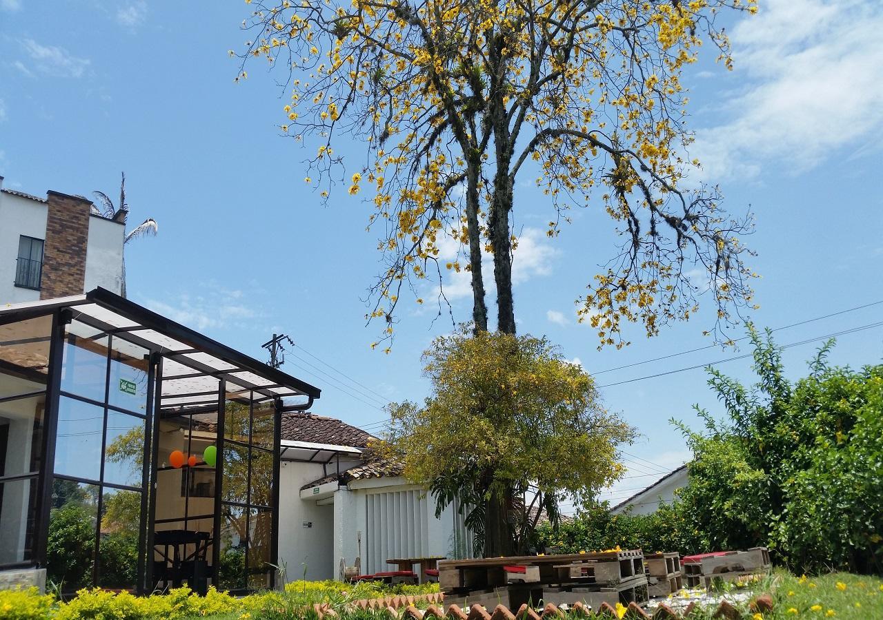 Hostal Morobik Popayan Dış mekan fotoğraf